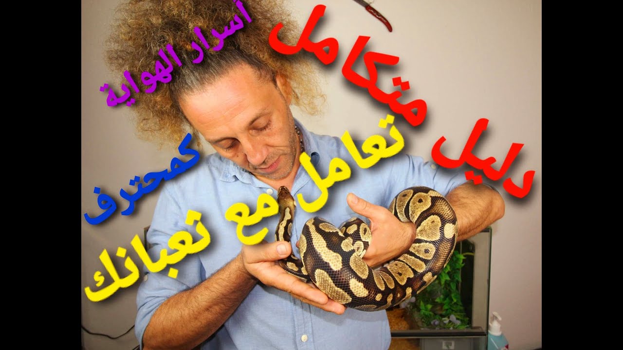 تدريب الثعابين للمبتدئين ( ترويض الأفاعى بحرفية ) كيف تمسك الحيات مثل المحترفين - الدليل الشامل
