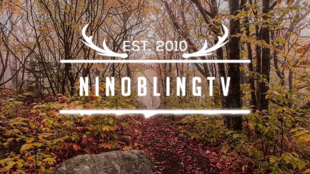 Angosoundz - Down With You