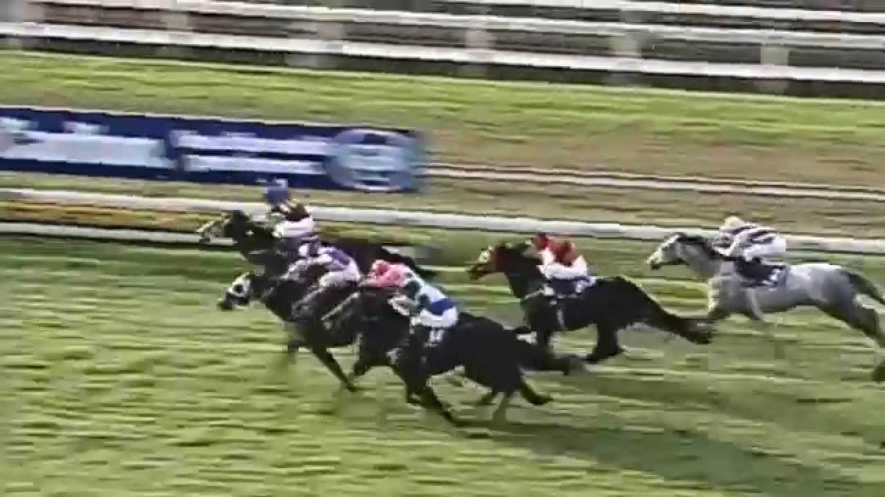 Flashback - 150 Years of Eagle Farm Racecourse Brisbane