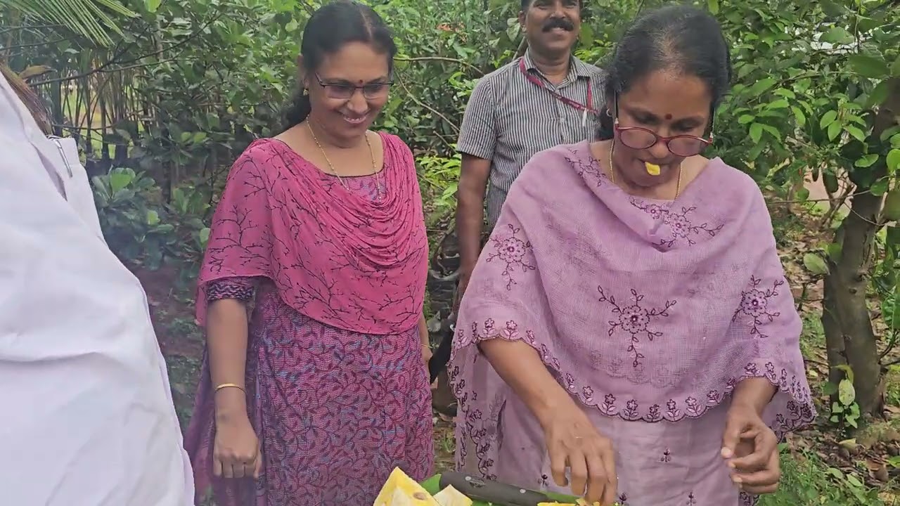 മഴയത്തും പഴുത്ത ചക്ക ആയൂർജാക്ക് ഫാമിൽ JUNE 24 ന്