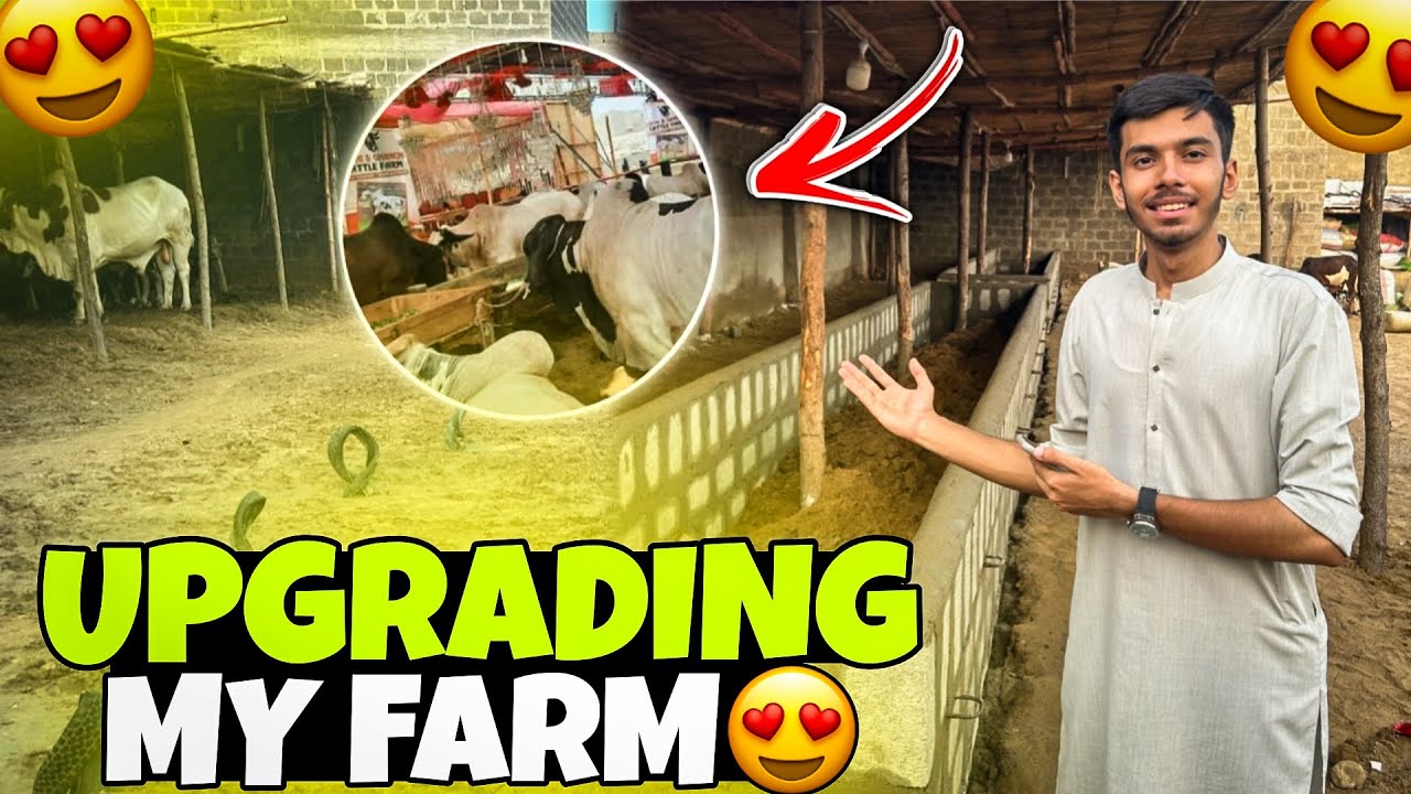 Allhumdulliah farm ki upgrading start hogai 📈 😍