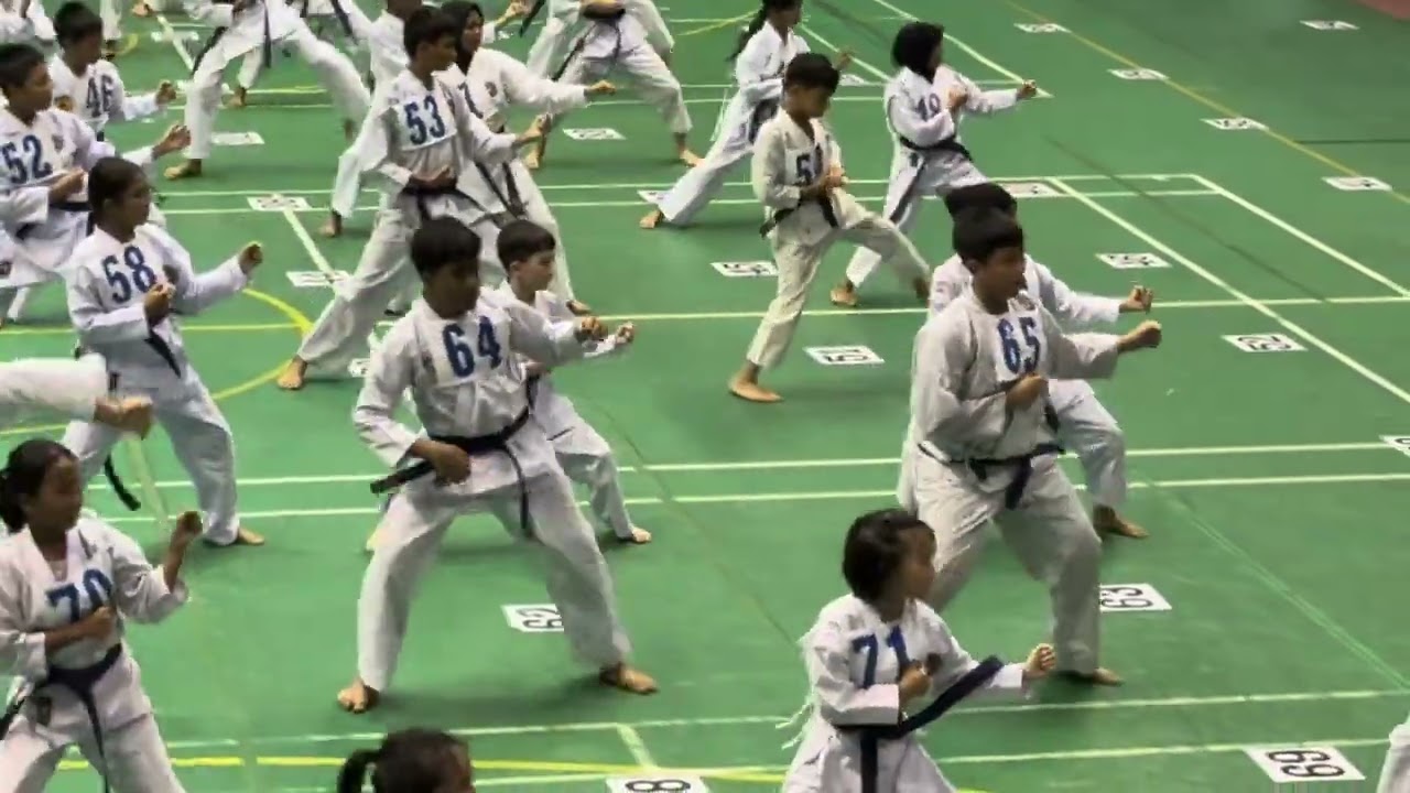 Ujian Kyu karate kenaikan tingkat  #inkanas #inkanasdkijakarta #karate #karatekid 