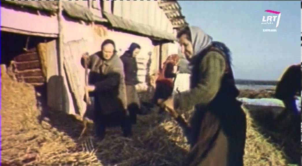 „Tarmių enciklopedijoje