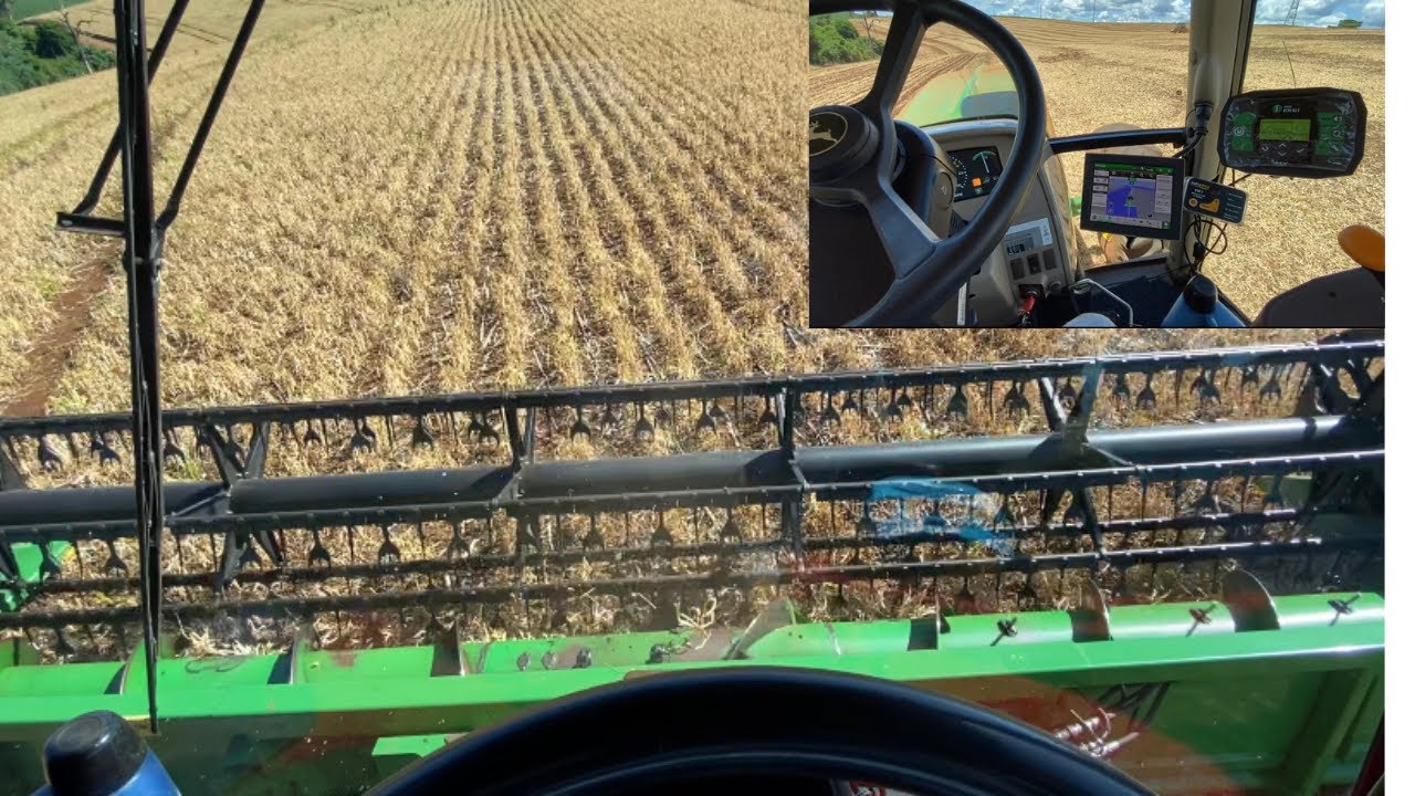 COLHEITA DE FEIJÃO CARIOCA, FOCO EM SEMENTE E PLANTIO DE SOJA 🌱