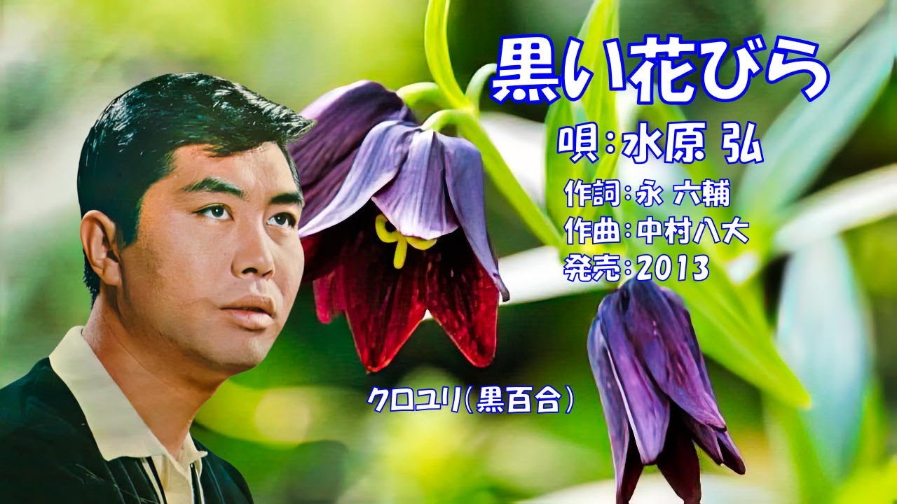黒い花びら  水原弘