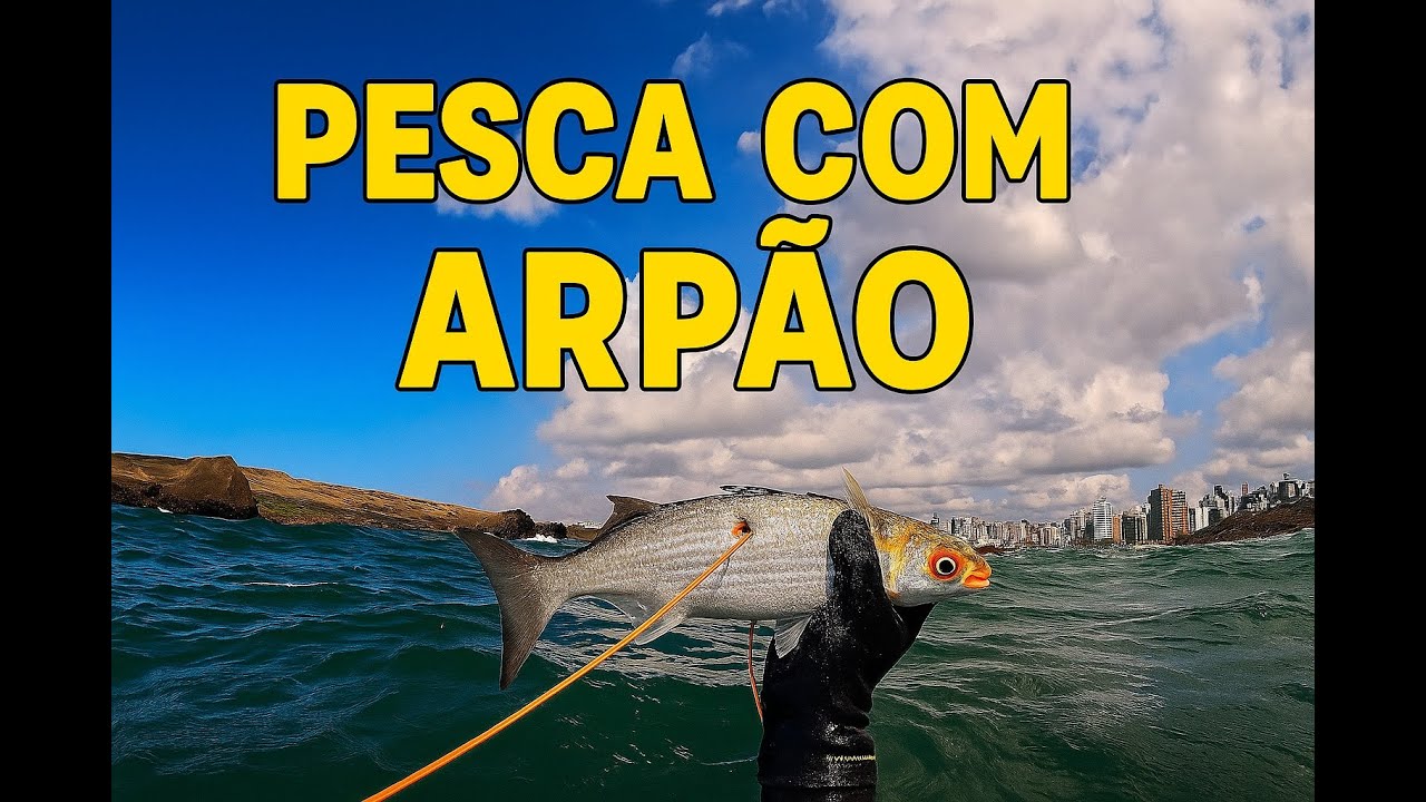 MOMENTOS PESCA SUB | PESCA COM ARPÃO | PESCA SUBMARINA #fishing #spearfishing #pescasub #pescaria