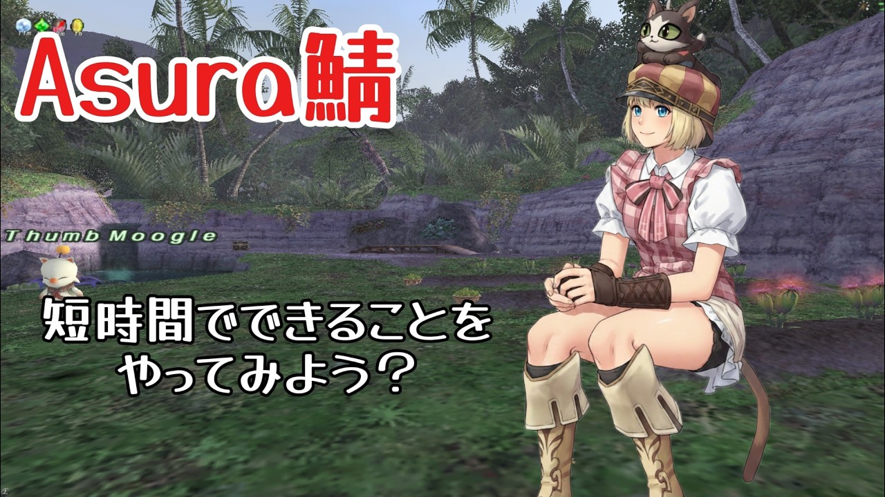 【FF11】ヌコの日常 in Asura ～【侍で？】短時間でできることをやってみよう【ざわつくOdin鎖国についても】～
