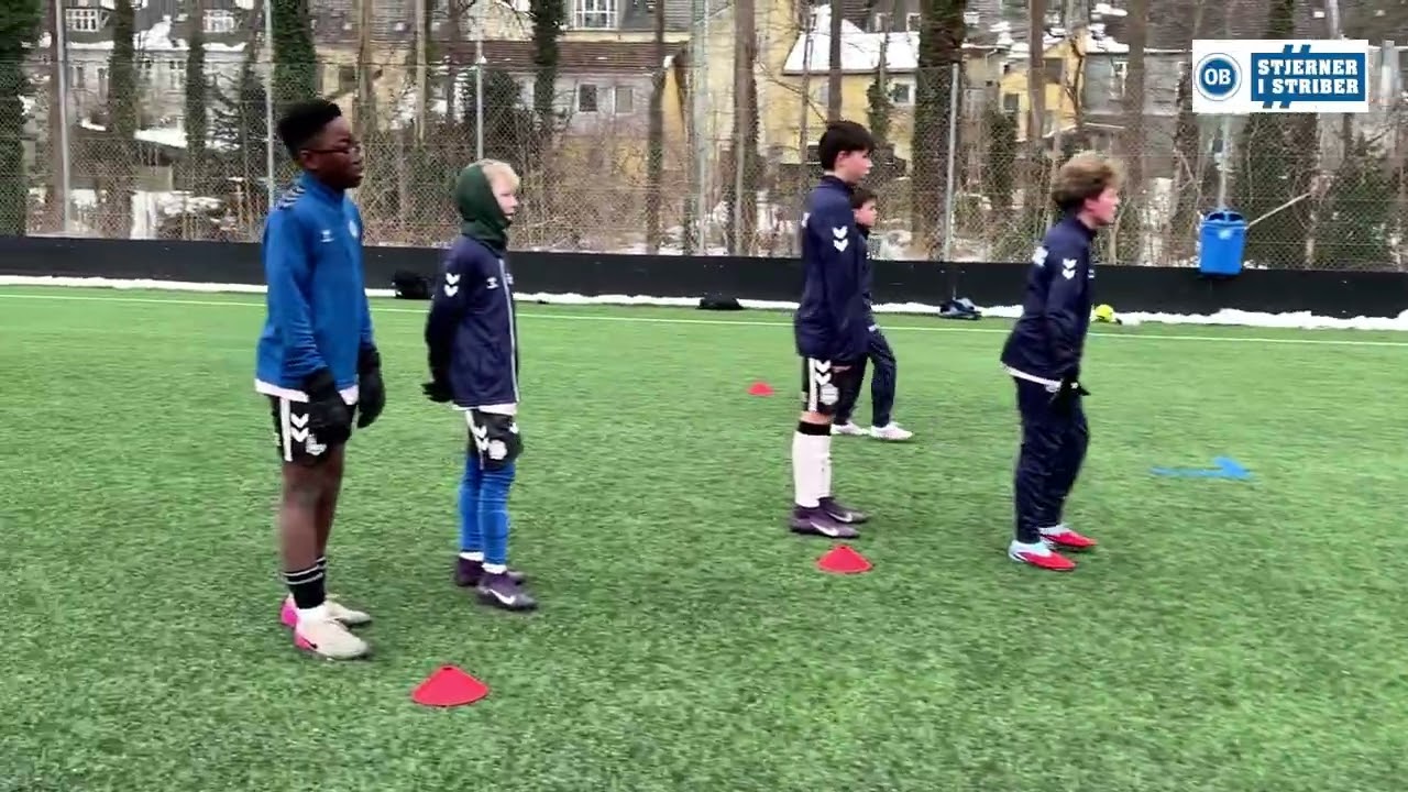 Stjerner i Striwer opstart 2026