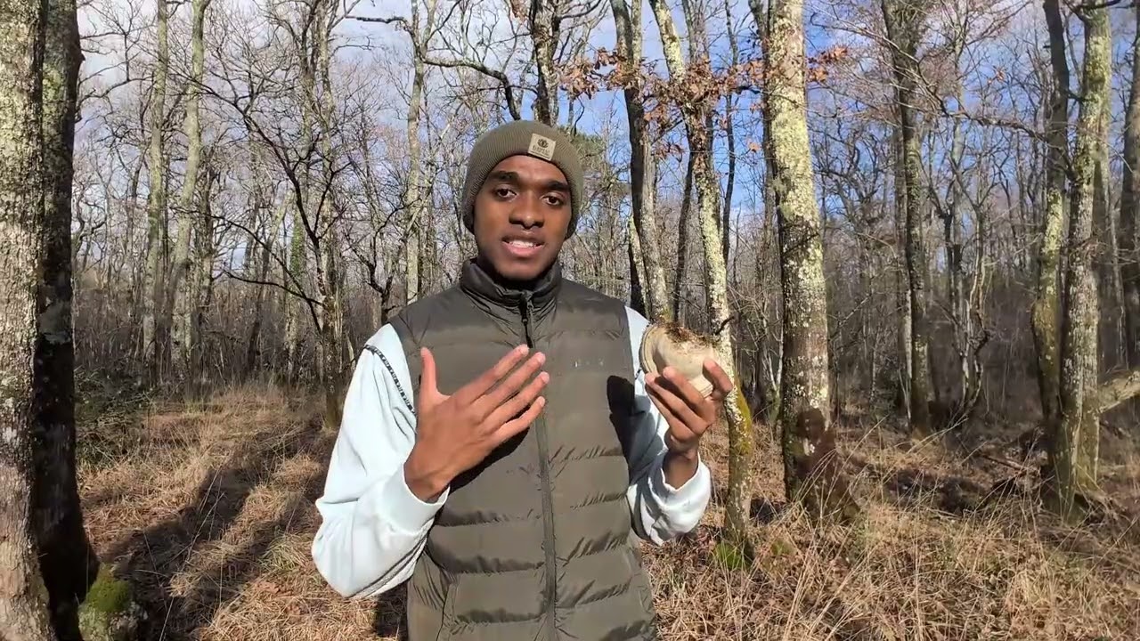 Ce n'est pas un champignon banal... l'humanité l'utilise depuis la préhistoire
