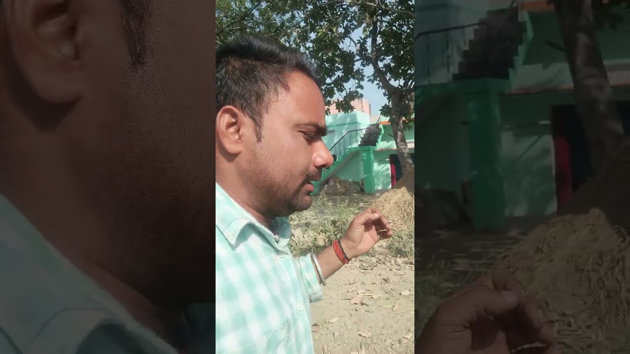 भाजपा राहुल gandi ki sdshyta chinne par लगी हुई hai