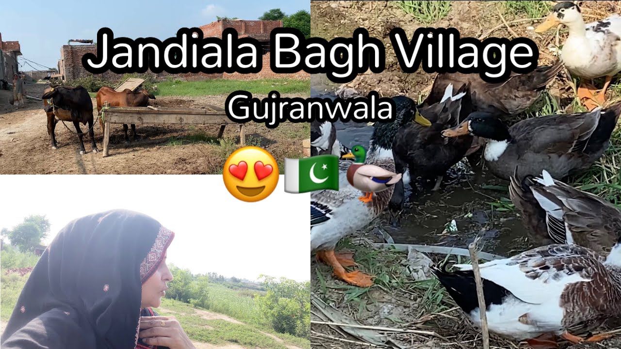 Visit To Jandiala Baghwala Village In Gujranwala 🇵🇰😍 | Samina Asif