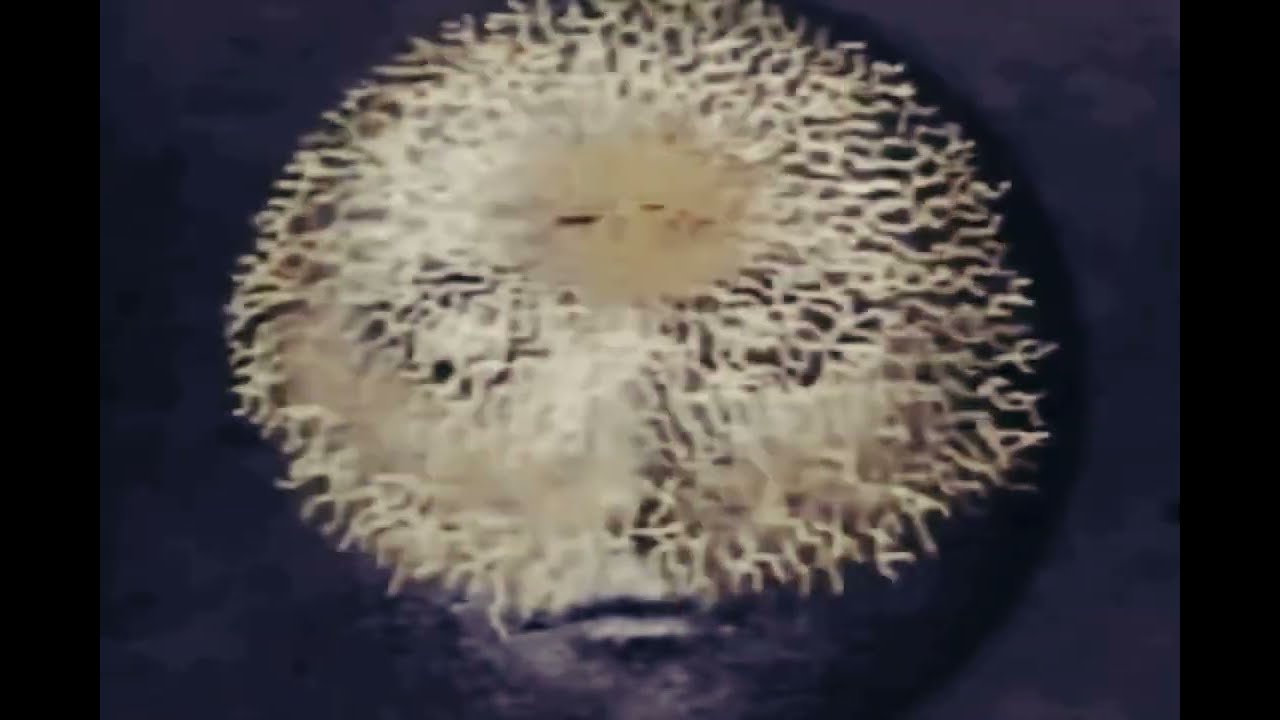 ㅤ