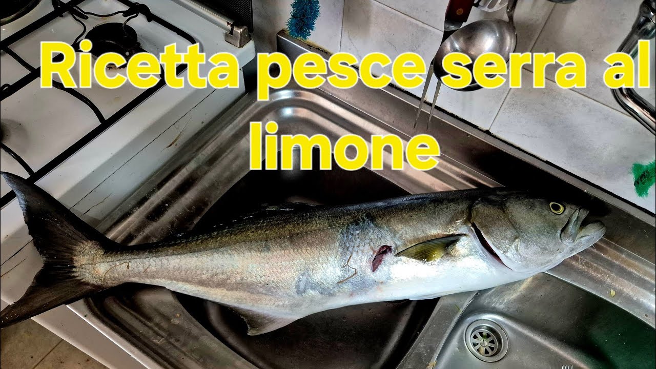 Come cucinare il pesce serra. Quando è pescato in apnea è più buono :)