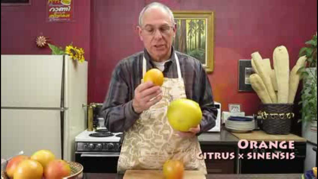 For The Love Of Grapefruit