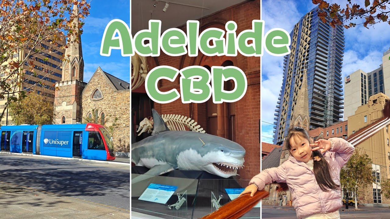 Australia | Adelaide | South Australian Museum | City Centre | Oaks Glenelg Plaza Pier Suites