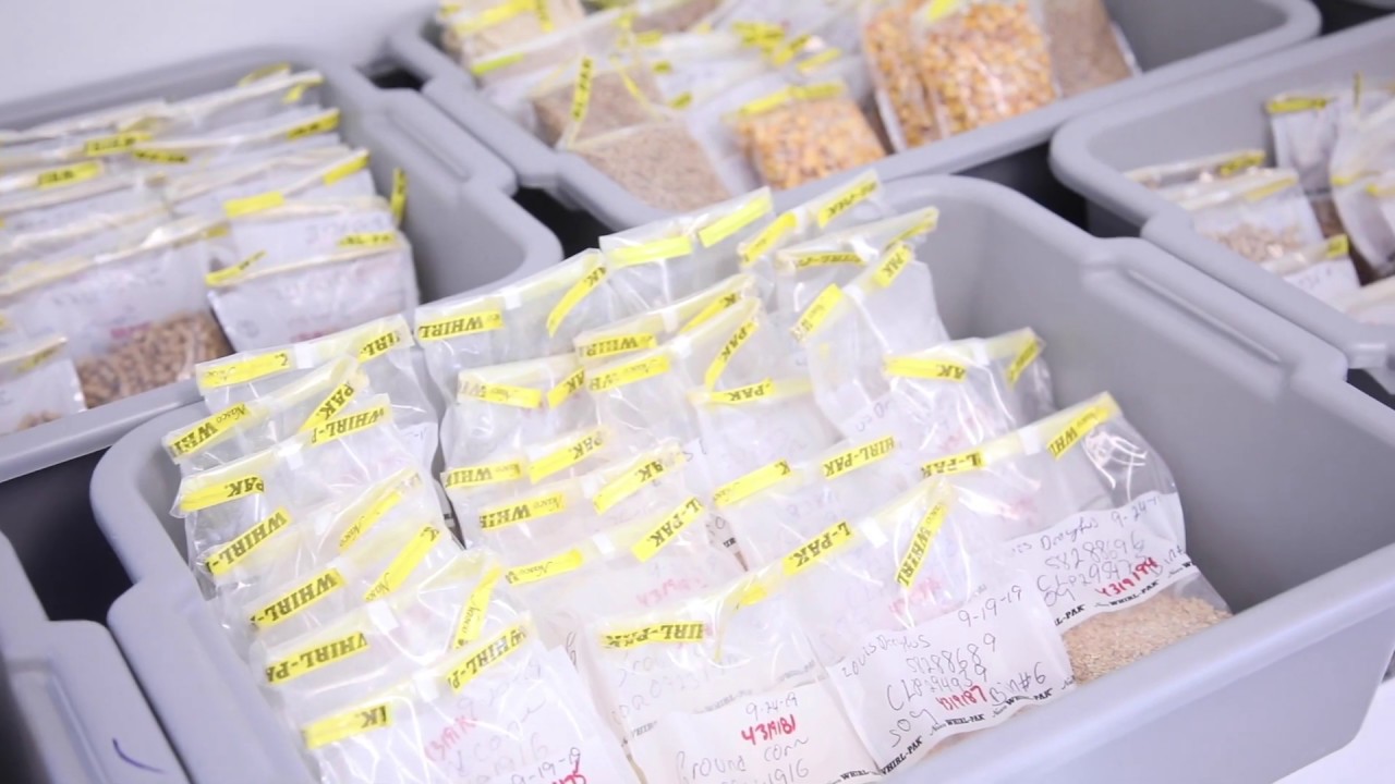 #MLFarmtoFork: Feed Mill Tour