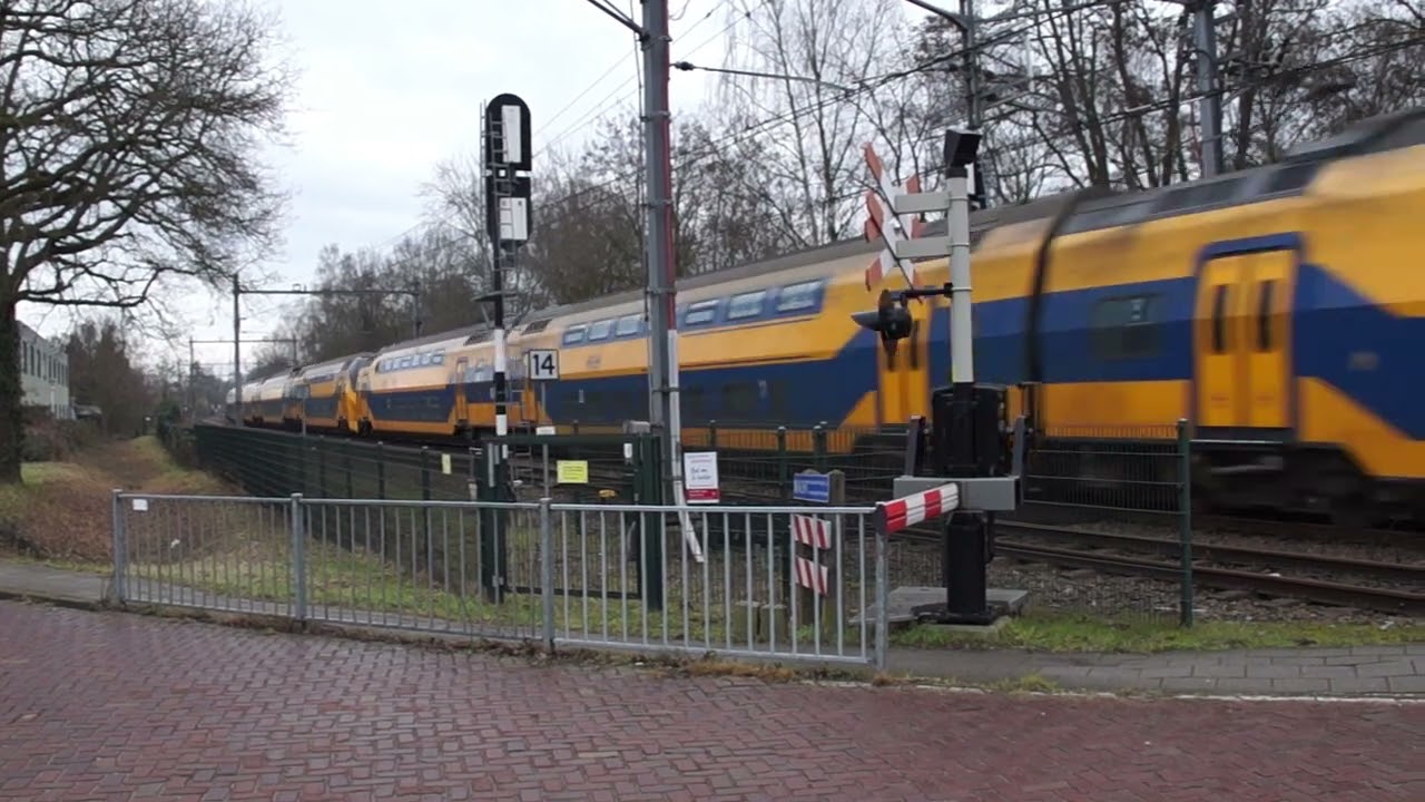 Treinen in EIndhoven en Helmond op 1 februari 2026