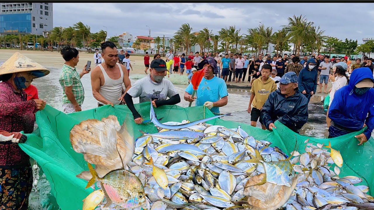 Chiến Lợi Phẩm Đánh Bắc Hải Sản Xa Bờ Biển  Sơn Thuỷ