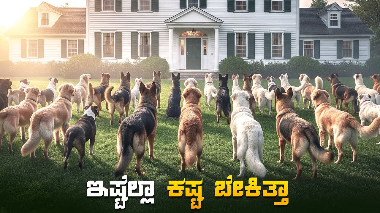 Return Of The Dog Movie Explained In Kannada &bull; Feel Good Movie &bull; Netflix Thriller Sci-Fi Movies