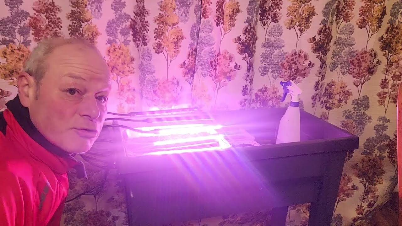 Combien de temps  je laisse  allumer  mes lampes  horticoles