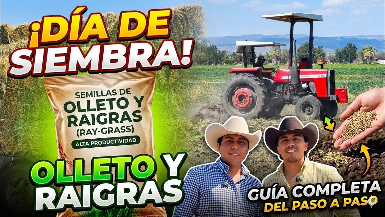 Día de Siembra en el Rancho 🚜: Plantando Olleto 🌱 | Rancho Vlog ET 🇲🇽