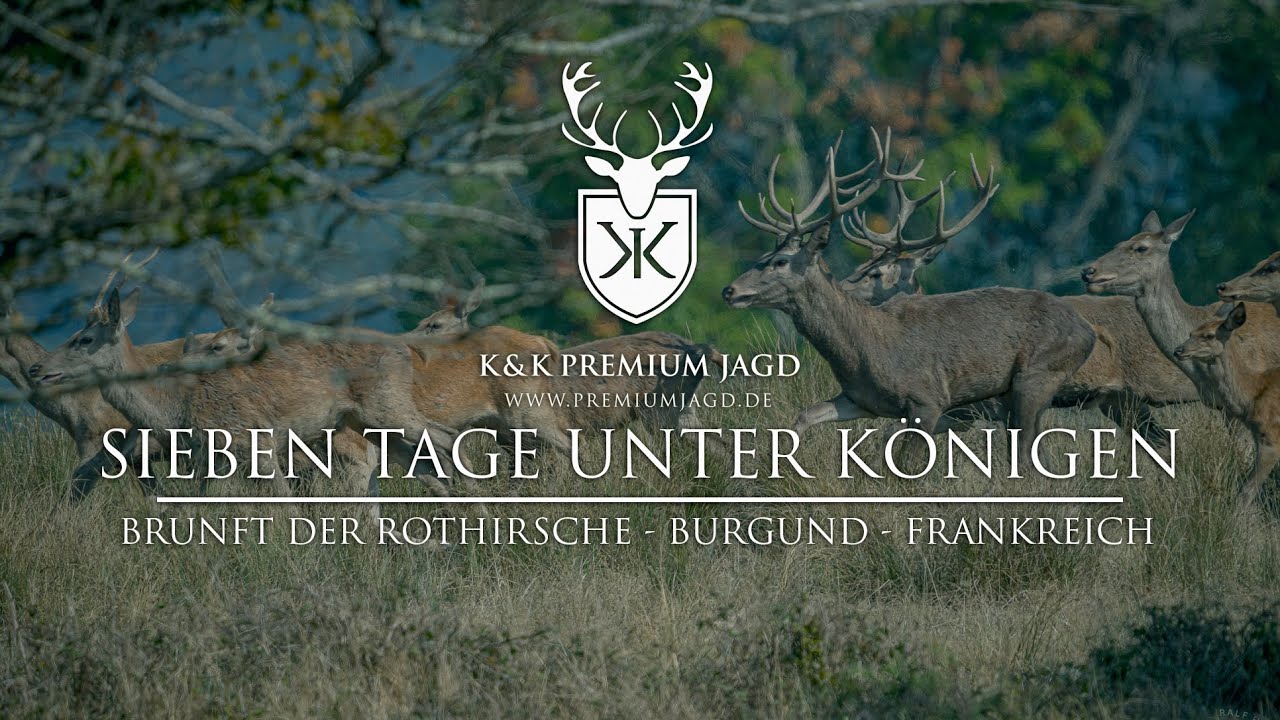Sieben Tage Unter Königen - Rotwildbrunft Burgund Frankreich