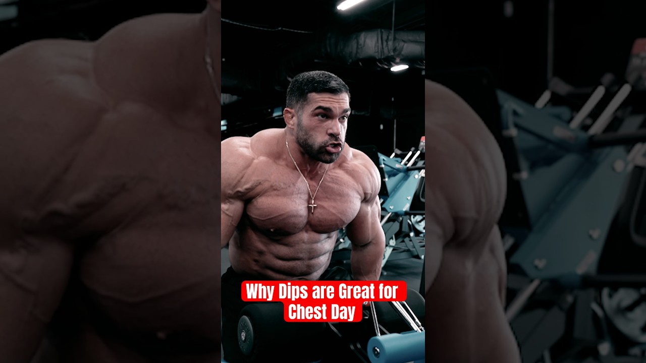 Why Dips are great for Chest Day 