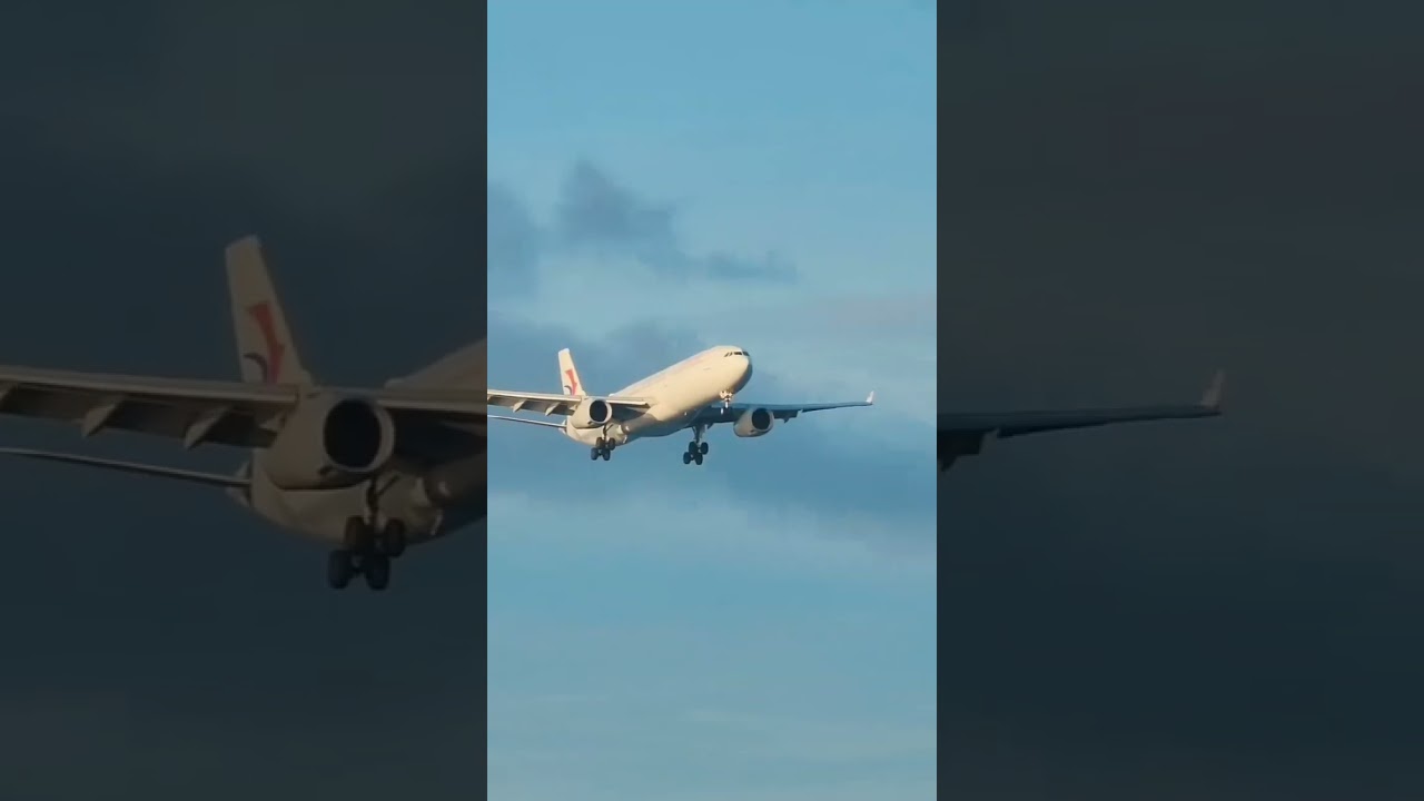 Beutiful landing of all airlines planes || Boeing Boy 767