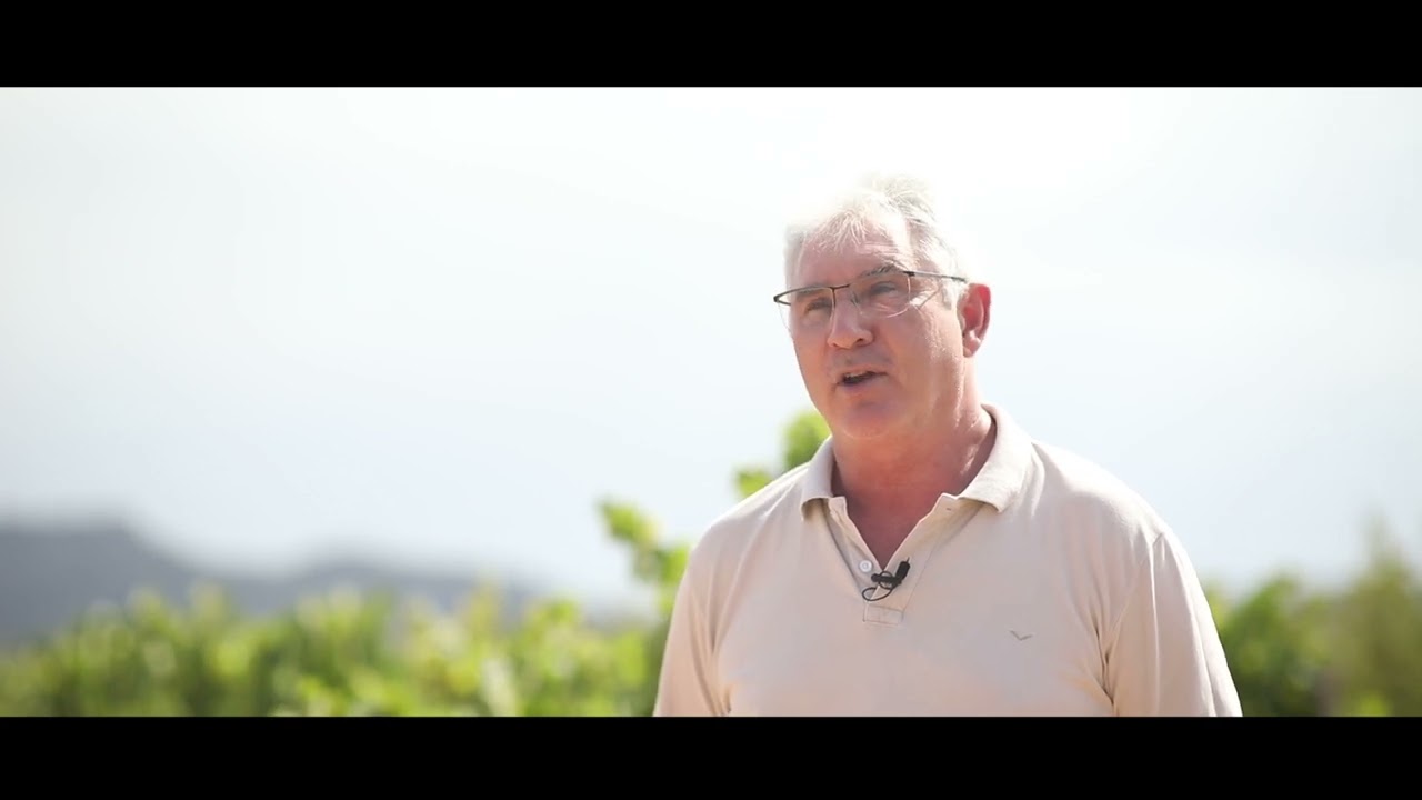 Estructuras Agrarias - Cooperativa El Villar