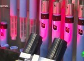 La insulina, el transgénico utilizado a diario por los pacientes con diabetes