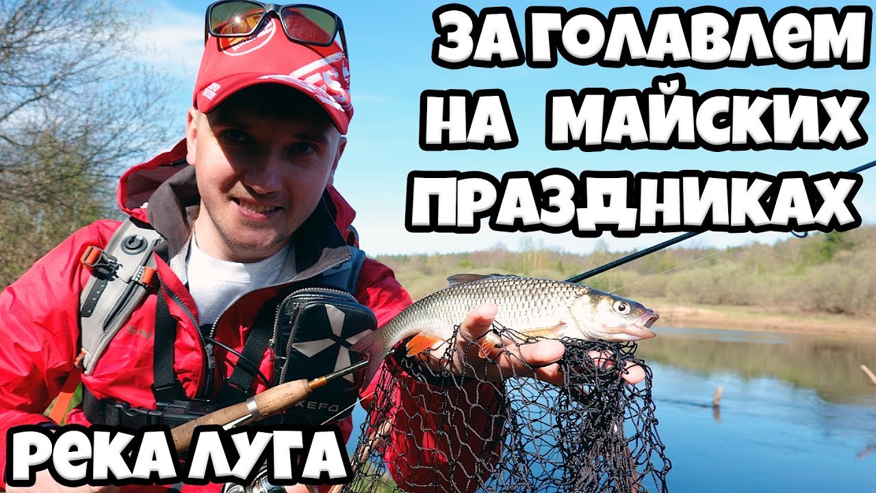 Голавль в мае, рыбалка на майских праздниках.