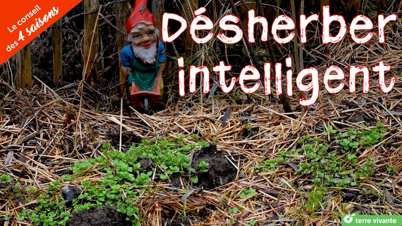 Désherber intelligent - Le conseil des 4 saisons