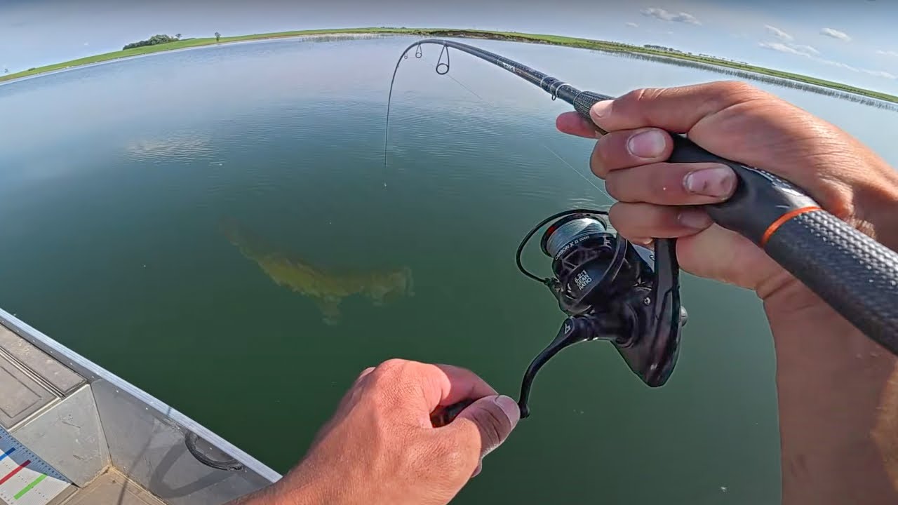 Hunting Down BIG Weed Walleyes! (Tips & Tactics)