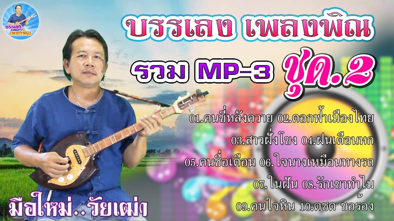บรรเลง เพลงพิณ รวม MP3 ชุด2 (ธรรมดา หน้าแดง)