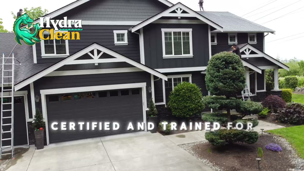Roof Cleaning Bellevue, WA
