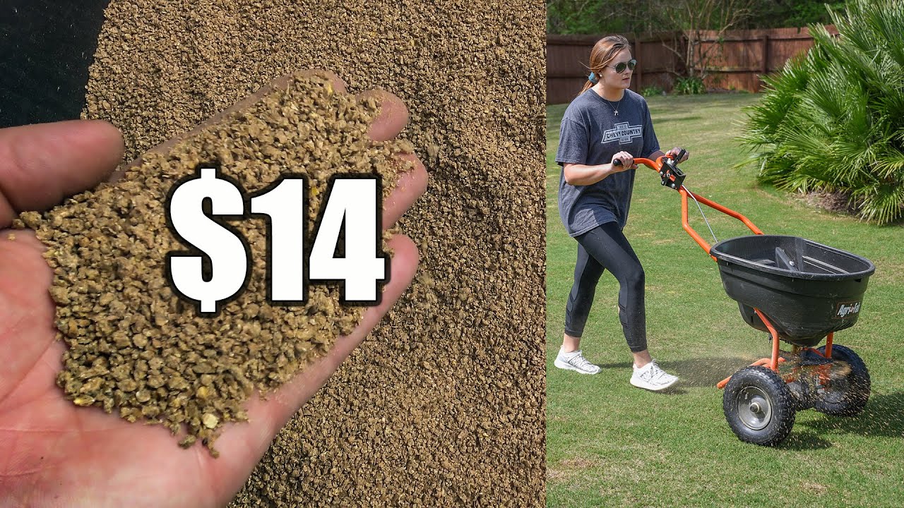 Cheap Organic Lawn Fertilizer