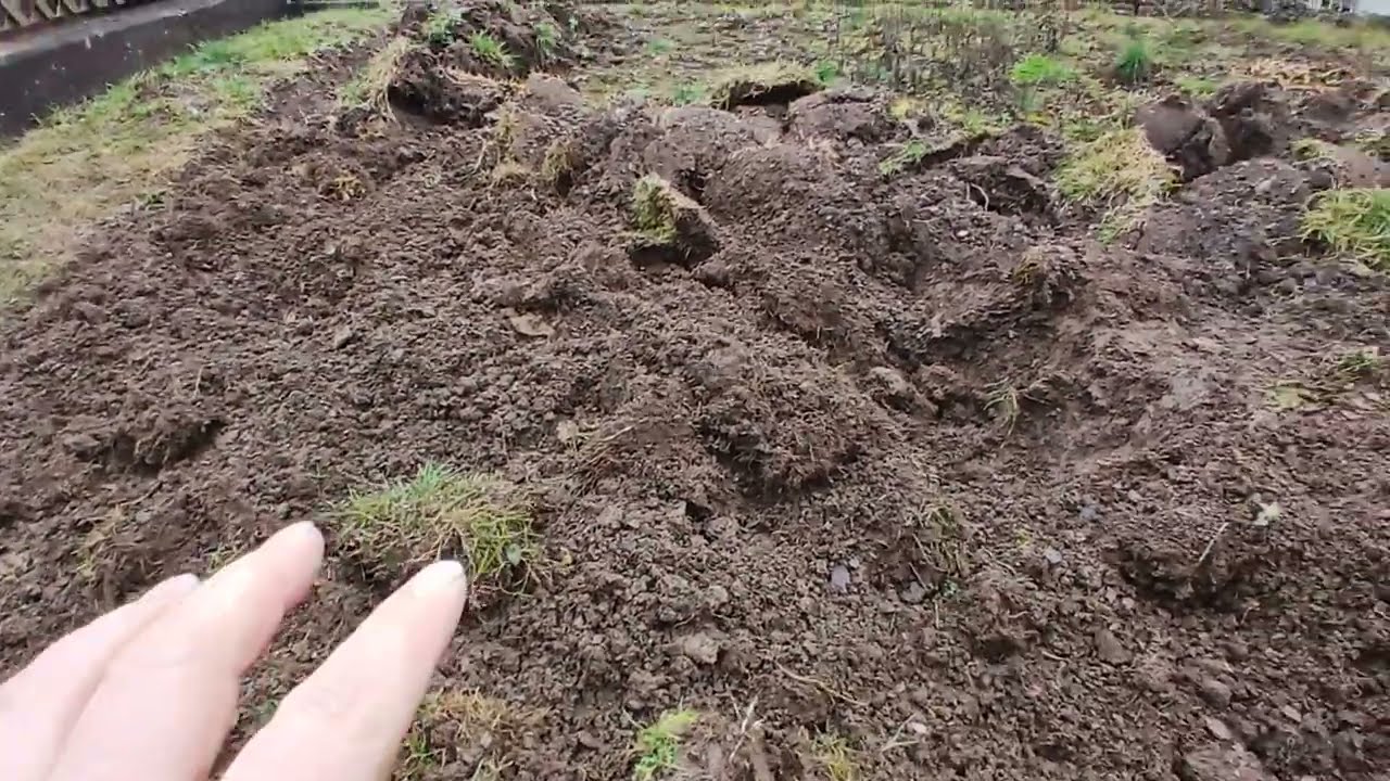 🌱☘️🍀🌿👍