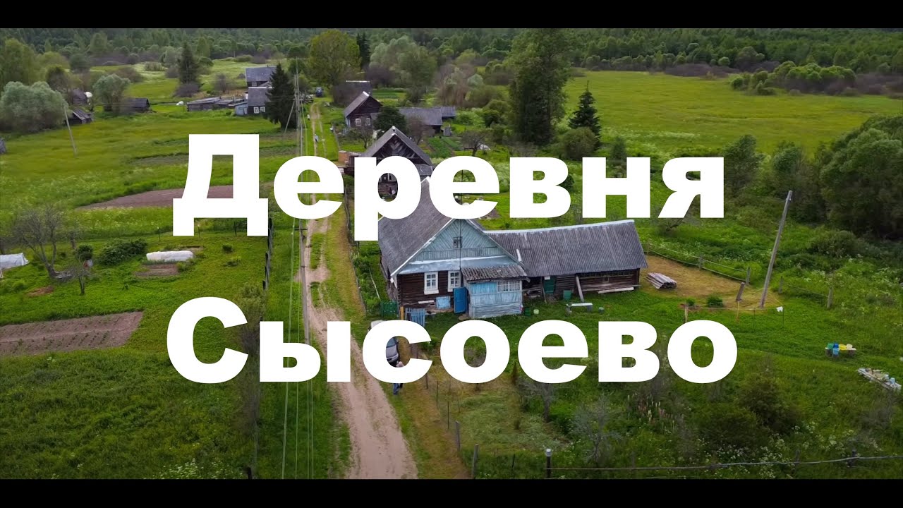 Деревня Сысоево, Псковская область, Бежаницкий р-н. ж/д ст. Плотовец