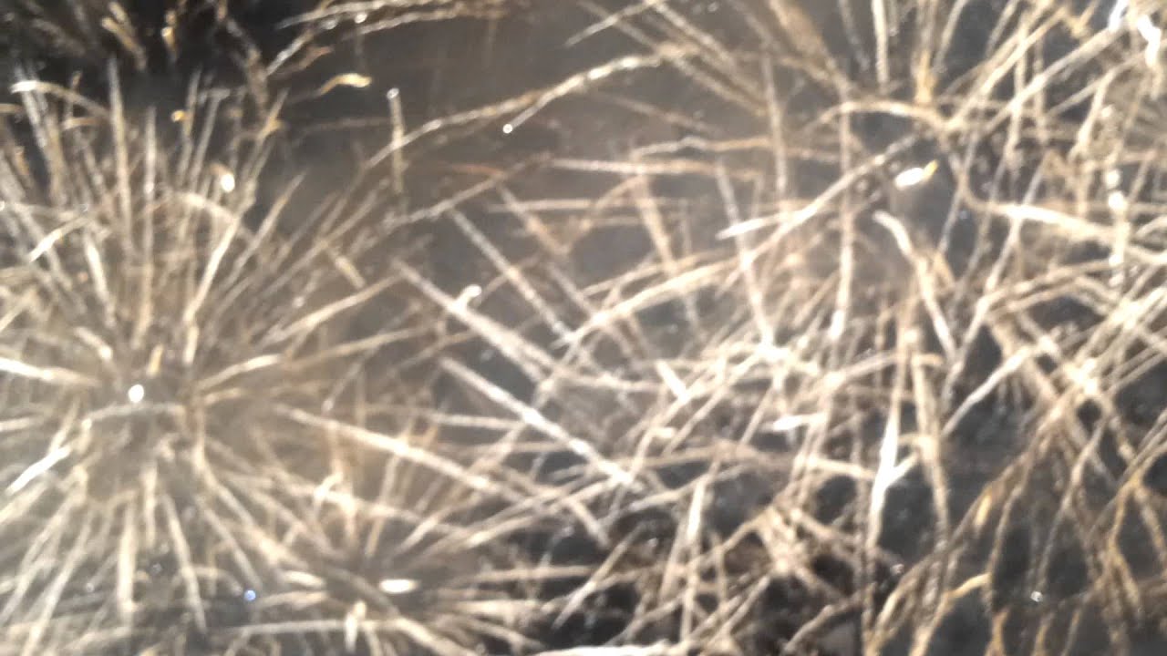 London 2012 Olympic Stadium Fireworks EXCLUSIVE! FULL HD