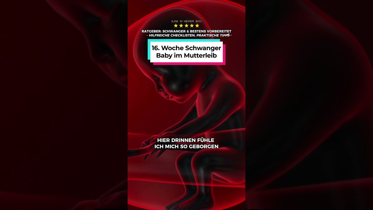 16 Woche schwanger: So sieht dein Baby in Schwangerschaftswoche 16 aus