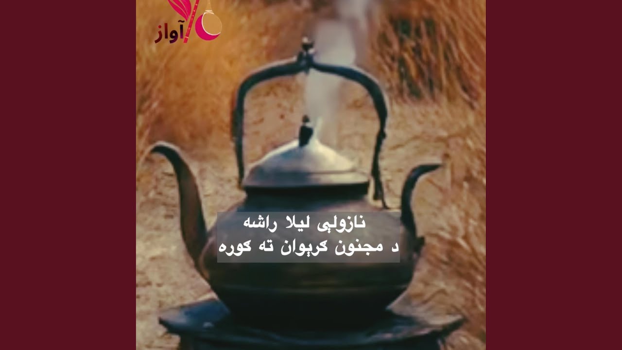 استاد اول میر - نازولی لیلا راشه