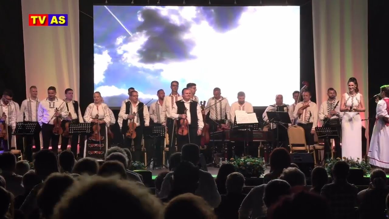 Suită de melodii din repertoriul regretatului Tiberiu „Tibi” Gheza - Orchestra „Tinerețe”