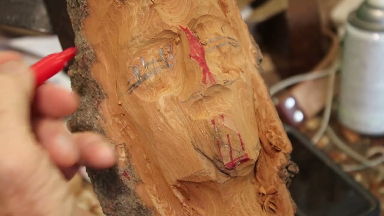 Cottonwood bark part 2