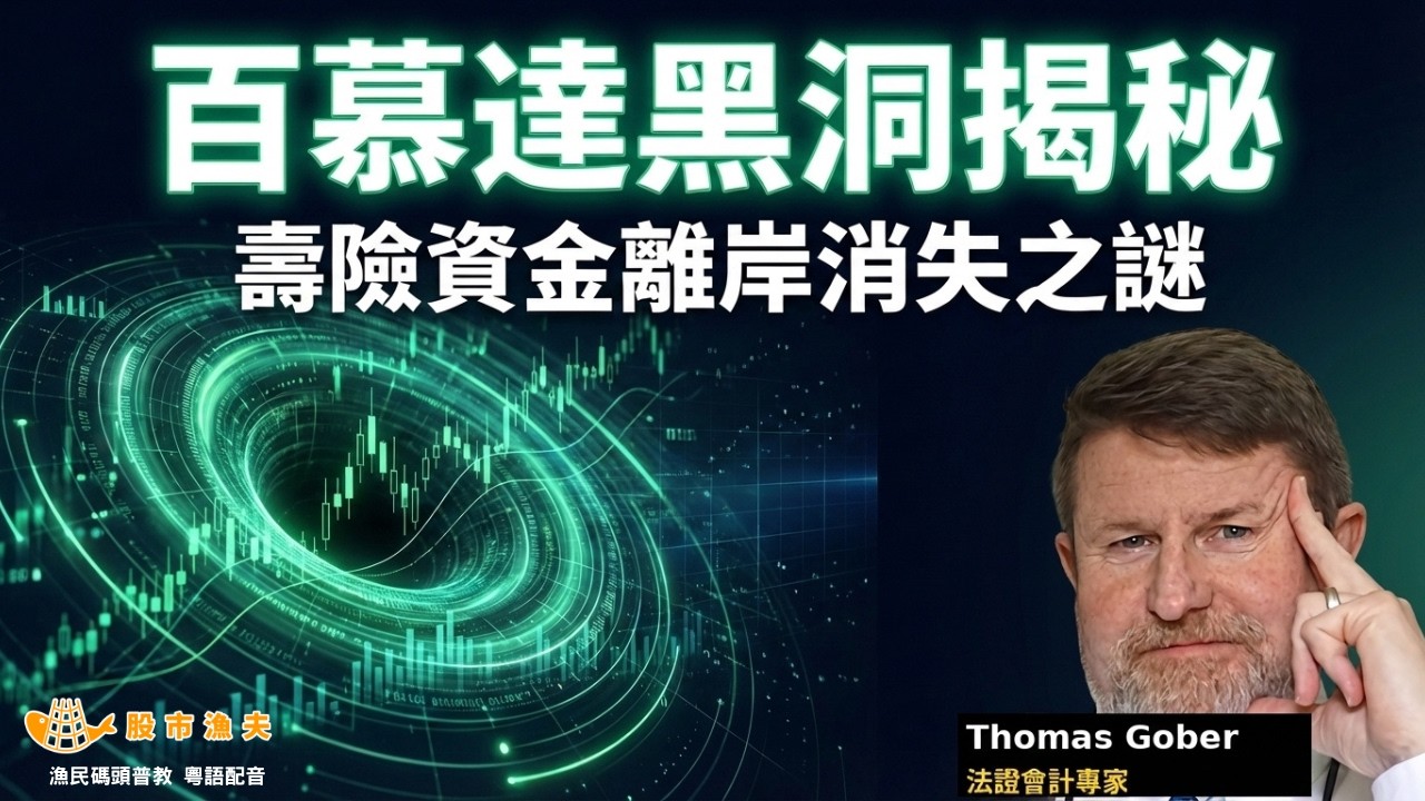 【廣東話 粵語配音】法證會計揭開壽險股資金離岸消失之迷 | 漁民碼頭普教