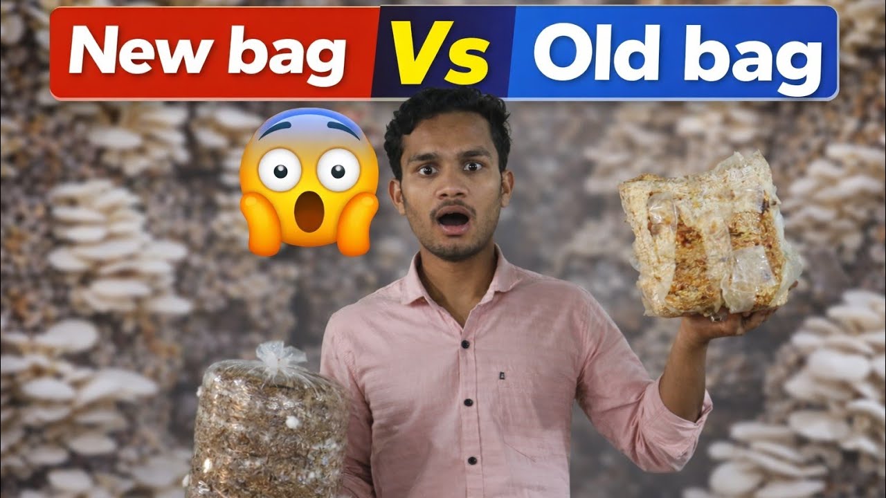 ये क्या हो गया 😨 New Vs old (Bag)