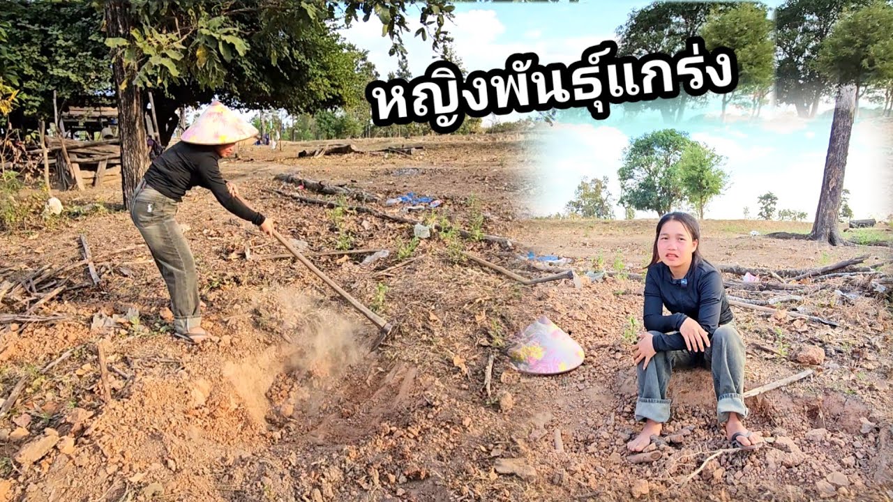 เริ่มแล้วน้องน้อยหญิงพันธุ์แกร่งจัดหนักจัดเต็ม 21 มกราคม ค.ศ. 2026