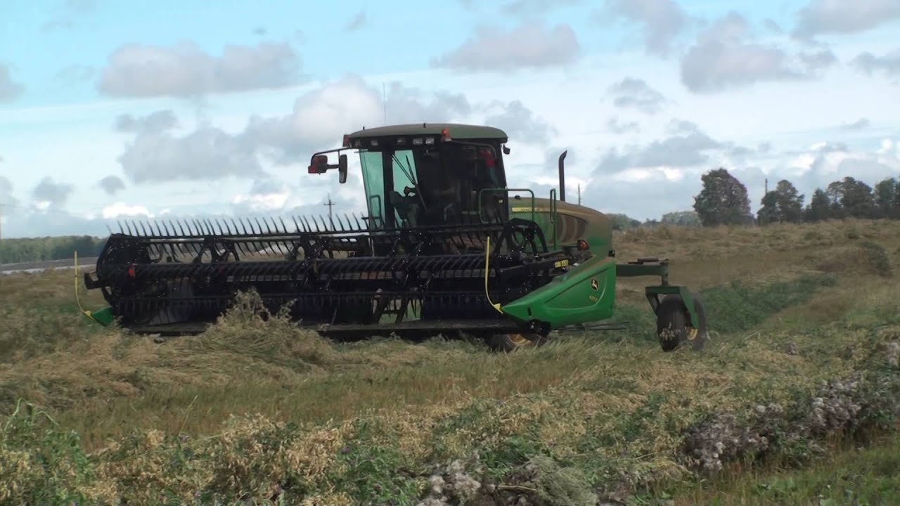 JOHN DEERE W150 на скашивании викоовсяной смеси.