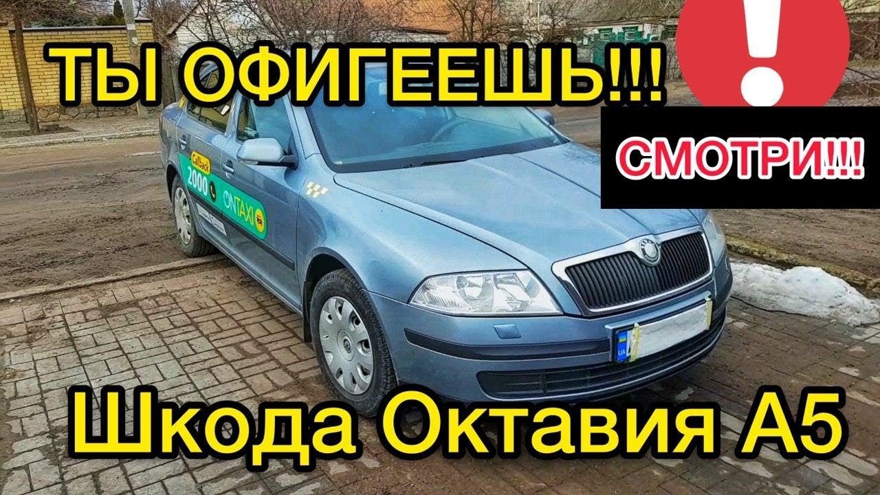 Обзор Skoda Octavia A5 1.6 механика - после 10 лет в такси
