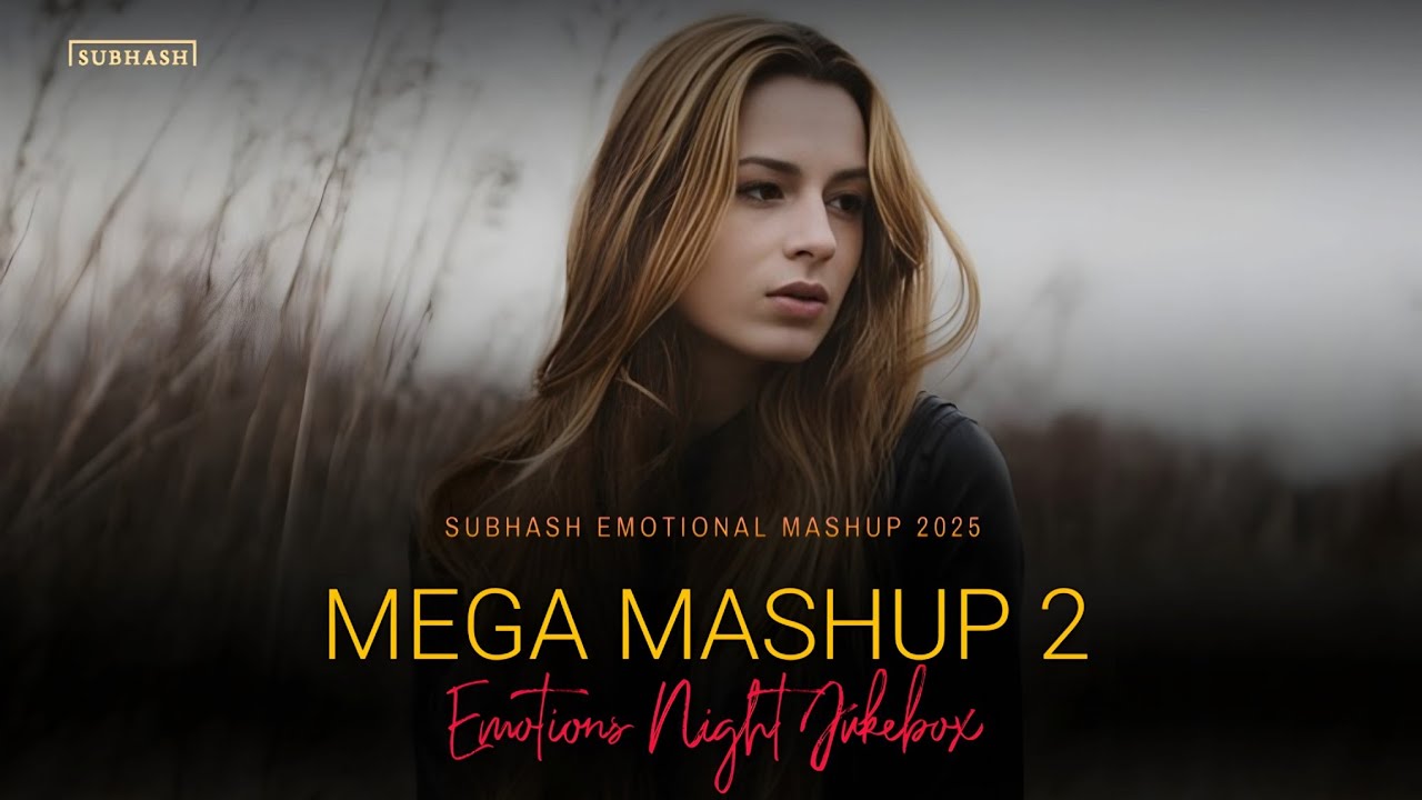 Mega Mashup 2 - SUBHASH | Feel The Emotional Beats Jukebox 2025