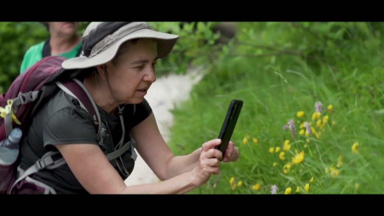 Botanical richness of Bohinj